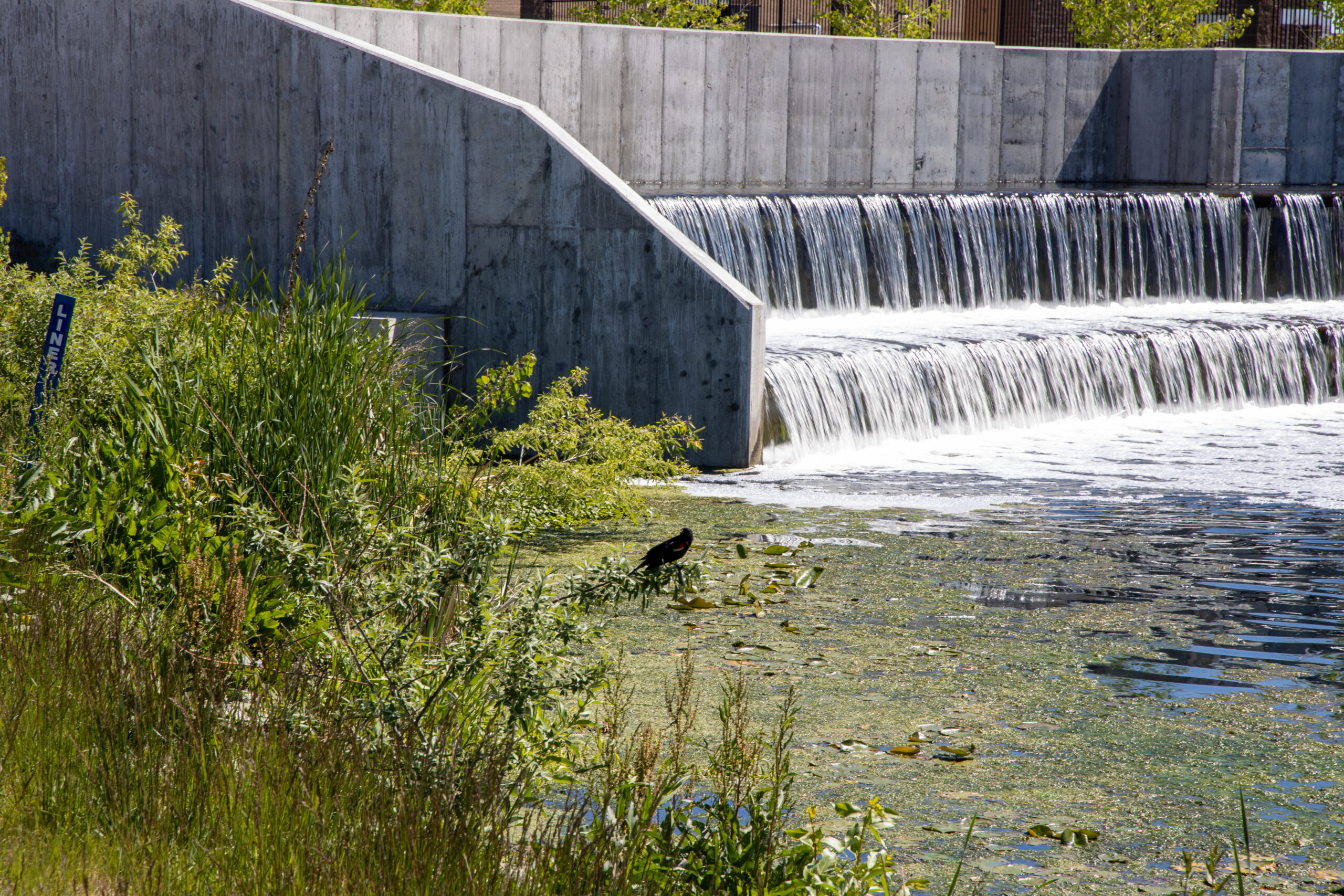 NTP Outfalls